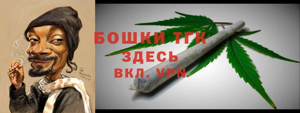 мет Протвино